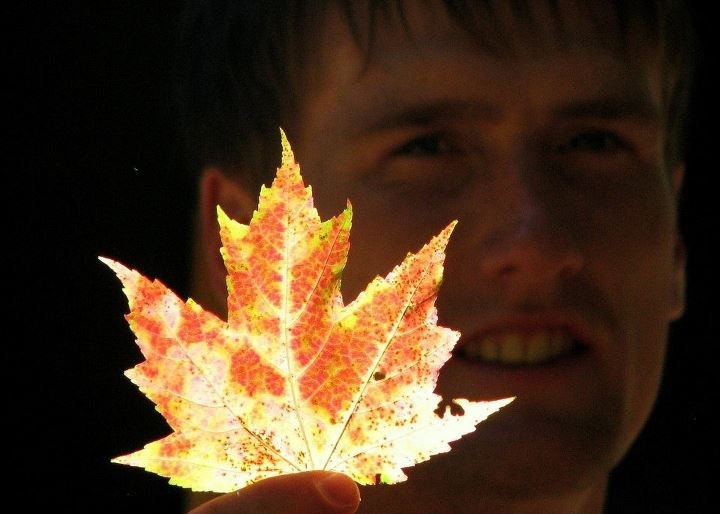 A maple leaf in the fall with some turbo dork in the background. No photoshopping required.