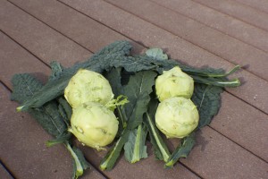 First Garden kohlrabi and kale