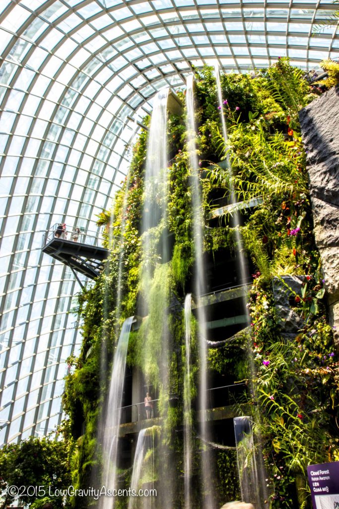 Cloud Forest Waterfall