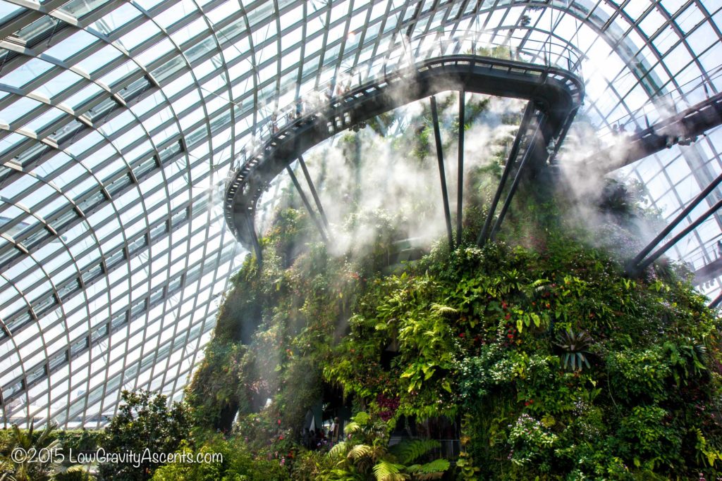 Cloud Forest Watering